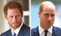 Prince Harry ‘privately’ Expressed Desire To Meet Prince William