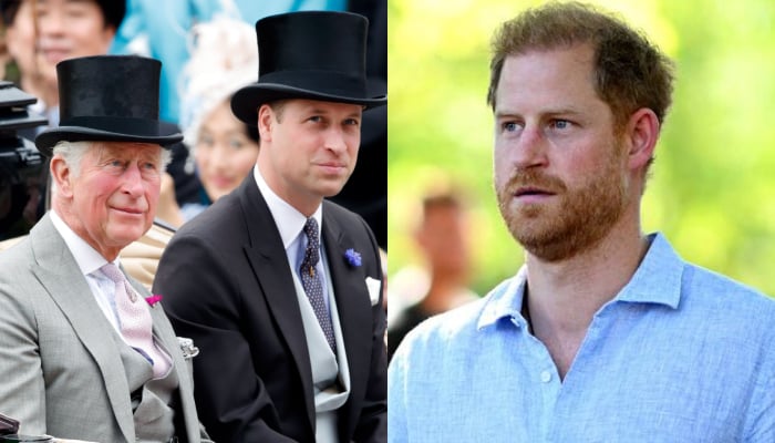 King Charles, Prince William face criticism for treating Harry unfairly