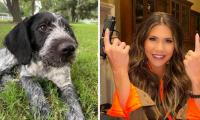 Why Kristi Noem Wants THIS Dog Killed?
