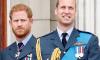Prince William, Harry's 'regrettable' feud takes shine off royal events