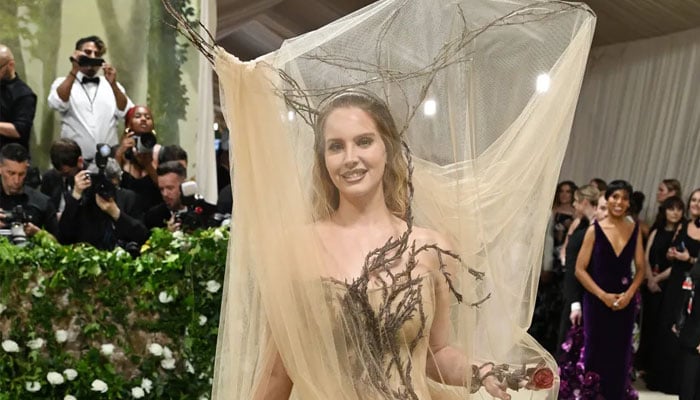 Lana Del Rey raises questions about her friendship Taylor Swift at Met Gala