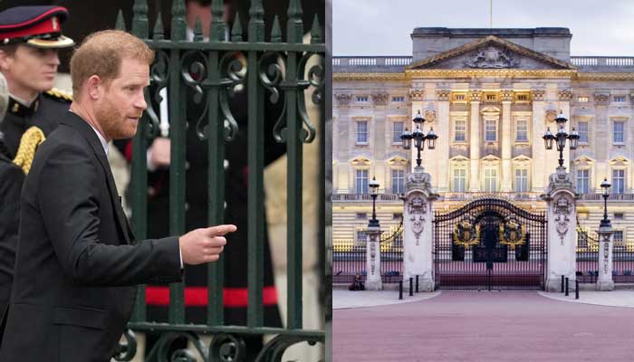 Buckingham Palace reacts to Prince Harrys UK return