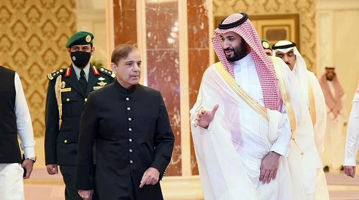 Saudi Crown Prince MBS Pakistan visit's dates likely to be finalised this month: FM Dar