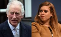 Princess Beatrice Sends Important Message To King Charles During Rare TV Gig