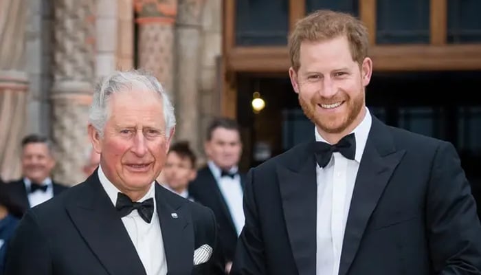 King Charles to only meet Prince Harry on one condition