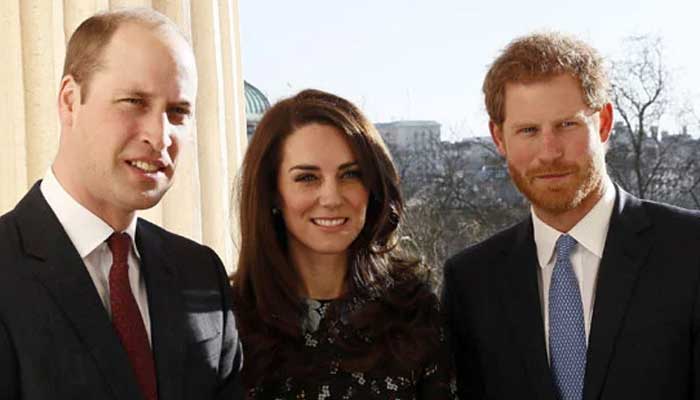 Prince Harry receives major blow from Prince William after King Charles snub
