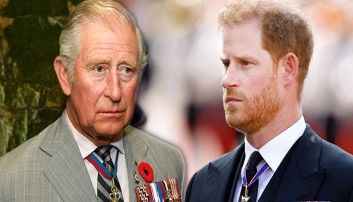 A spokesman for the Duke of Sussex said that Harry was understanding of the Kings busy diary
