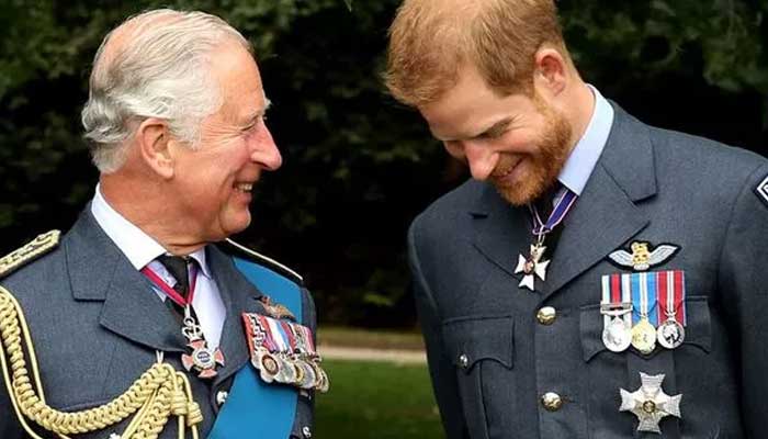 King Charles advised to meet his son Prince Harry