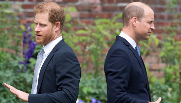 Prince Harry proves Prince Williams suspicions right