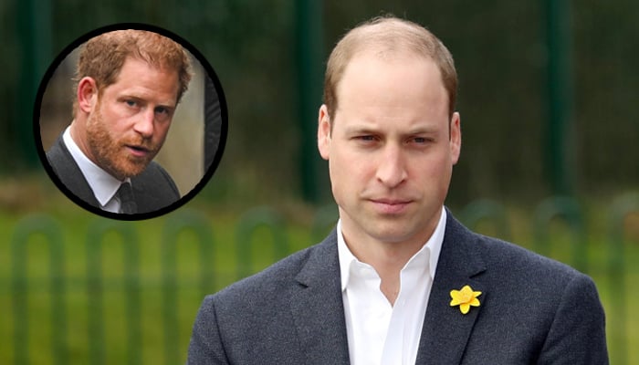 Prince William misses Prince Harrys support as private struggles intensify