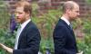 Prince Harry proves Prince William's suspicions right 