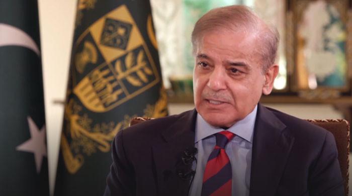 PM Shehbaz says Pakistan, Saudi Arabia have 'clear-cut way forward'