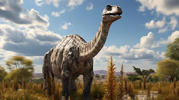 Das größte Tier, das vor 100 Millionen Jahren auf der Erde lebte