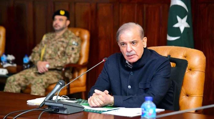 Inflation protests: AJK situation 'will hopefully be settled soon', says PM Shehbaz