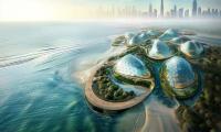 Dubai Mangroves: Plans For World's Largest Coastal Regeneration Project Unveiled