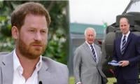King Charles Makes Hurting Comments For Prince Harry While Giving Military Honour To Prince William?