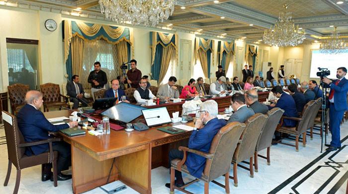 PM Shehbaz announces privatisation of all SOEs apart from strategic ones