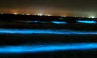 VIDEO: Karachi’s Sea Glows Electric Blue Due To Bioluminescence 