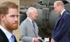 King Charles 'tinged with sadness' as he hands Harry's role to William