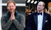 Prince Harry offers Prince William to take on future role as King