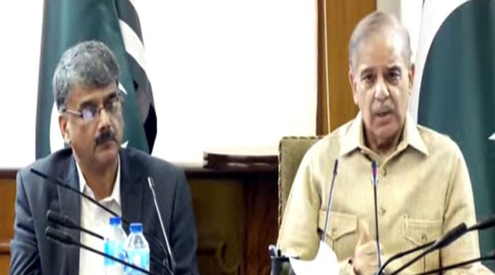 PM Shehbaz calls for permanent solution to AJK issues
