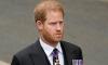  Prince Harry future in US hinges on royal title?