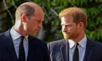 Prince Harry Was 'deeply Upset' When Prince William Rejected His Request For Meetup