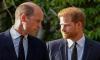 Prince Harry was 'deeply upset' when Prince William rejected his request for meetup