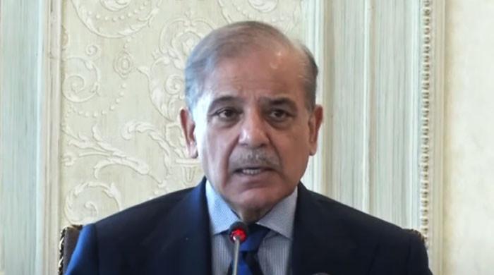 Hard work needed for prosperity, not witchcraft: PM Shehbaz