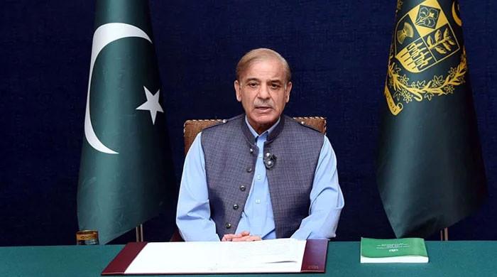 PM Shehbaz reiterates support for 'One China policy'