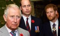 Prince Harry Left Devastated By King Charles, William In Secret Meeting