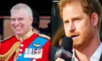 Prince Harry Questions Prince Andrew's Security 