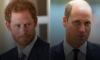 Prince William, Harry shared bond ‘closer than most siblings’ before rift