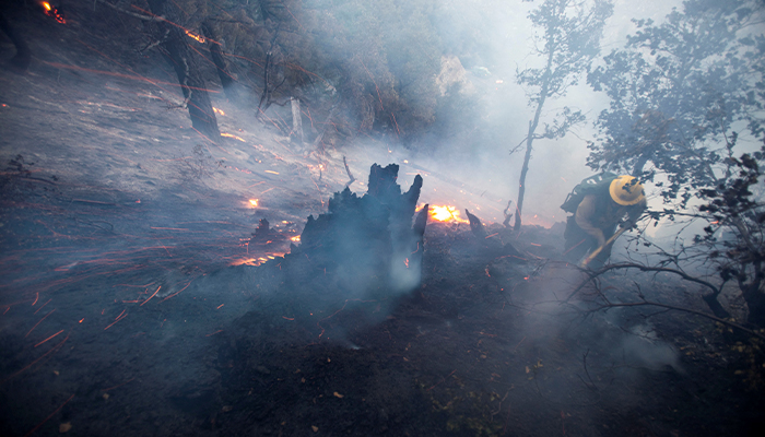 A firefighter battles the fire in the Angeles National Forest near Mt Wilson as the wildfires burn in the Los Angeles area, during the Eaton Fire in Altadena, California, US January 9, 2025. — Reuters