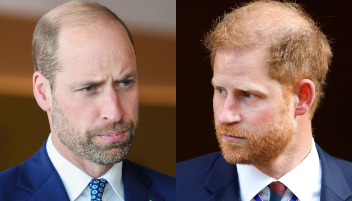 Prince William takes charge of crucial task as Harry begins UK mission