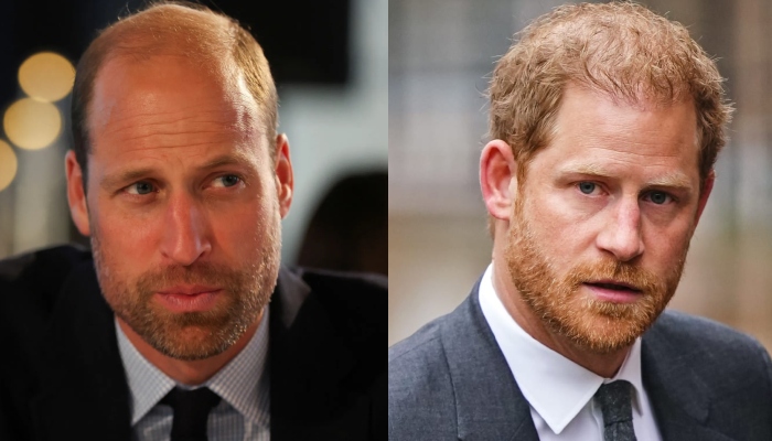 Prince William makes feelings clear over Prince Harrys olive branch