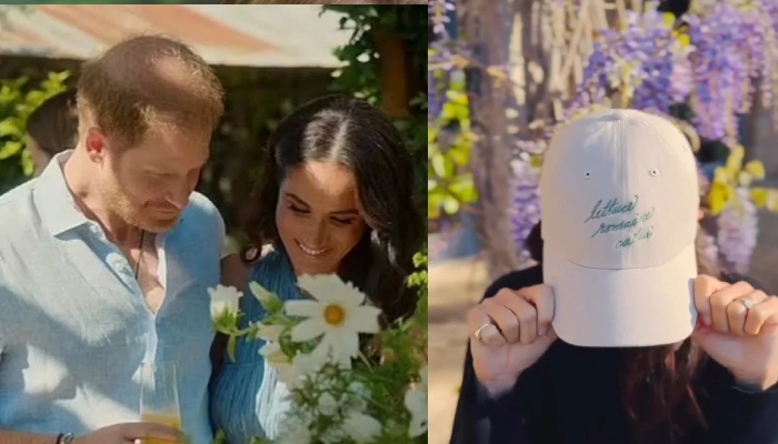The couple’s 2022 docuseries, Harry & Meghan, was a global hit