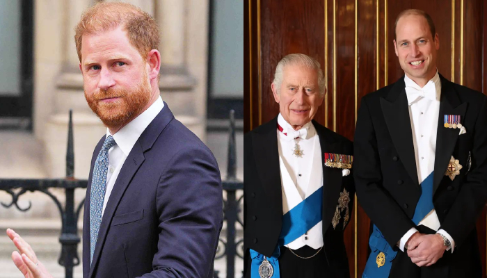 Prince Harry plans Spare 2 after royal family shatters UK dream