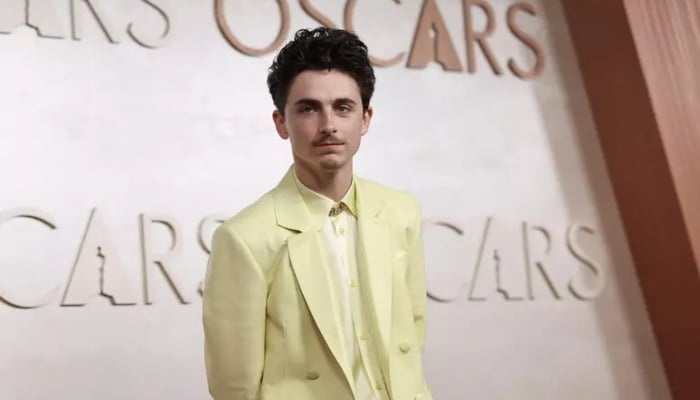 Timothée Chalamet set at to receive special recognition at Italian ceremony