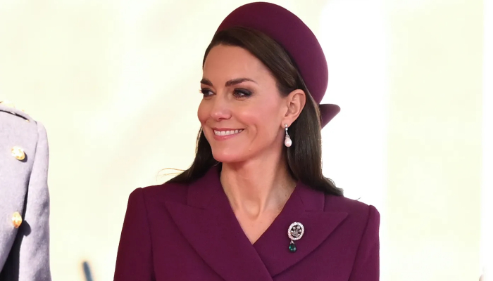 Kate Middleton stuns onlookers as she joins King Charles to mark VE Day