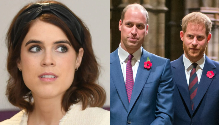 Princess Eugenie chooses Prince William over Harry amid feud?