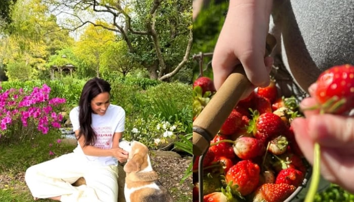 In the image, Meghan is seen standing beneath a fruit tree, reaching up in a fruit-picking pose