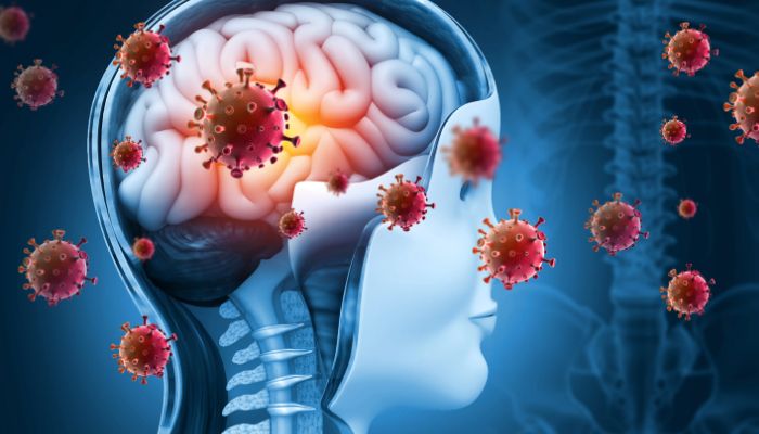 COVID-19 accelerated brain ageing even in uninfected people, study finds