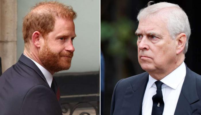 Prince Harry recently denied claims of a physical fight with his uncle Prince Andrew