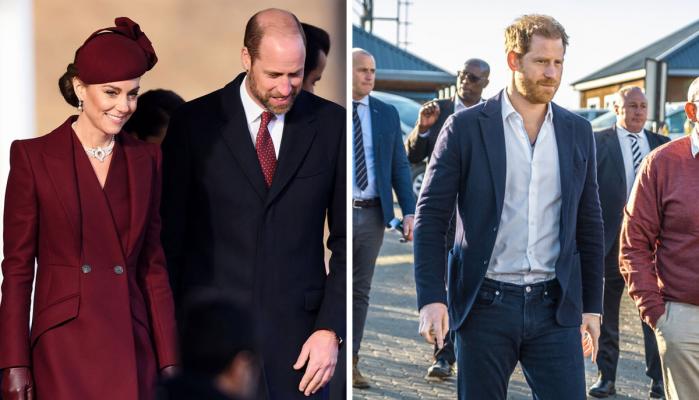 Kensington Palace breaks silence on charity after Prince Harry probe ends