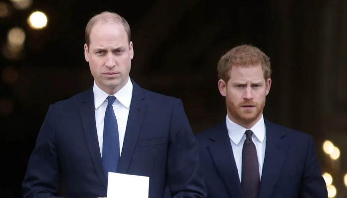 Princess Dianas influence on Prince William, Harry amid estrangement