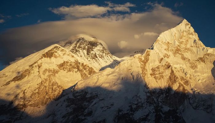 Parkinsons breakthrough could be hidden in Mount Everest, study says