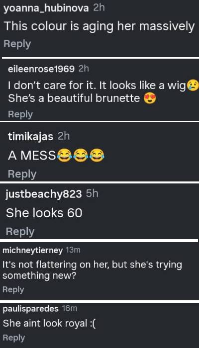 Princess Kates cancer hair furiously defended by royal hairstylist