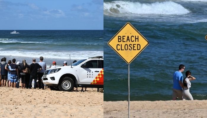 Shark kills surfer at Sydney beach