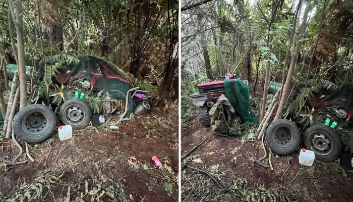 Remote hideout of Tom Phillips revealed after New Zealand police shooting